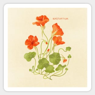 Nasturtium Sticker